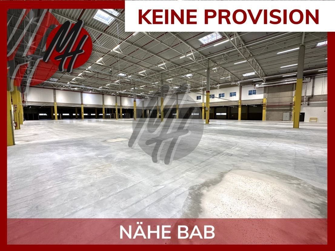 Lagerhalle zur Miete provisionsfrei 5.750 m²<br/>Lagerfläche Stockstadt 64589