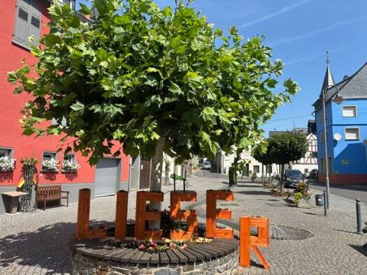 Wohnung zur Miete 570 € 2 Zimmer 50 m² Geschoss 2/2 frei ab sofort Lieser 54470