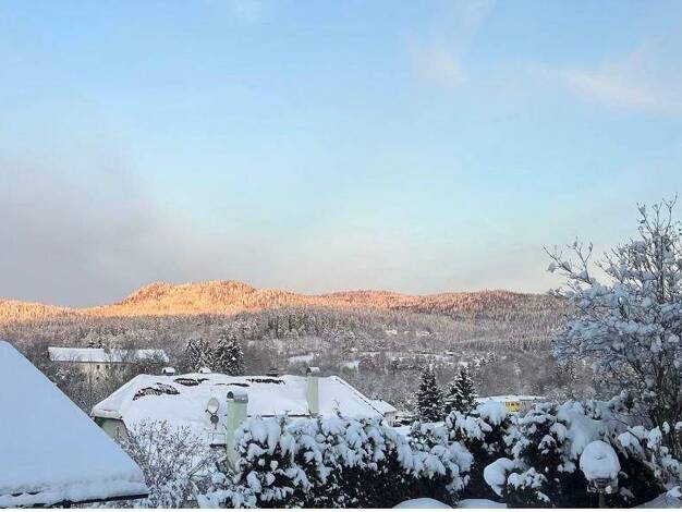 Studio zum Kauf 259.000 € 4 Zimmer 105 m² 1. Geschoss Zwiesel 94227