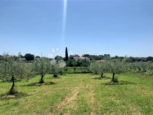 Acker-/Waldstück zum Kauf 155.000 € Rovinj Rovinj 52210
