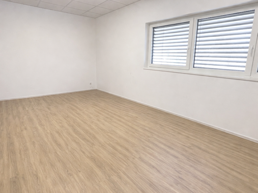 Bürofläche zur Miete 240 € 1 Zimmer 24 m² Bürofläche Hofstätten an der Raab 8200