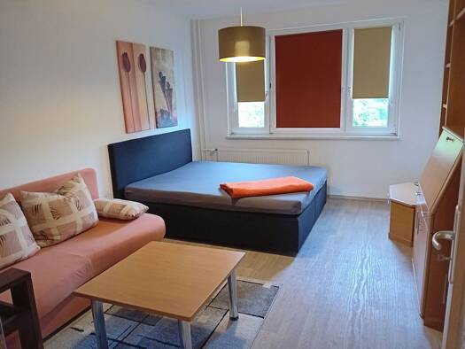 Wohnung zur Miete 239 € 1 Zimmer 31,8 m² Geschoss 2/2 frei ab sofort Dr.-Wilhelm-Külz-Straße 20 Triebes Zeulenroda-Triebes 07950