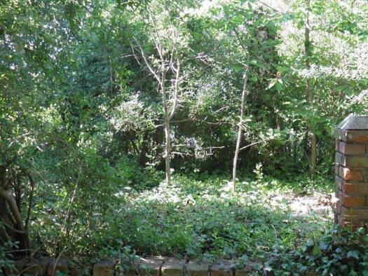 Grundstück zum Kauf als Kapitalanlage geeignet 32.000 € 781 m² Grundstück Straße des Friedens 51 Sachsendorf Lindendorf 15306