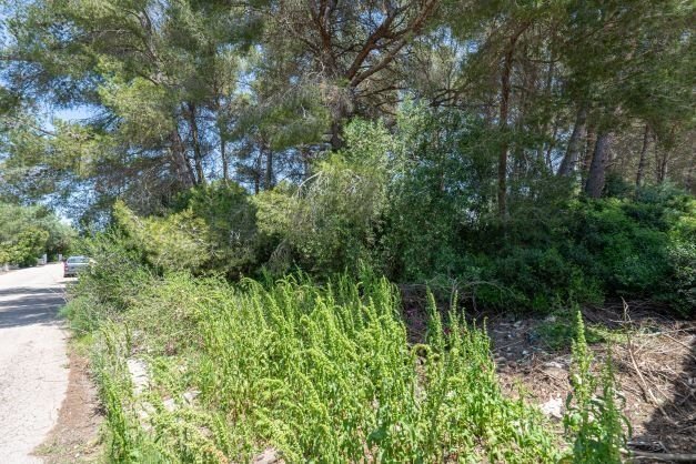 Grundstück zum Kauf 180.000 € 1.416 m²<br/>Grundstück Javea 03730