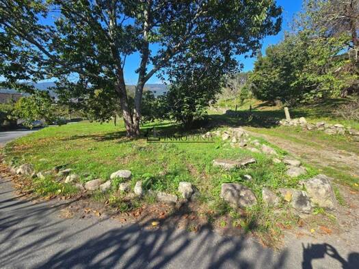 Acker-/Waldstück zum Kauf 60.000 € Vilaboa 36141