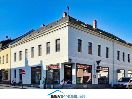 Mehrfamilienhaus zum Kauf 94.000 € 20 Zimmer 229 m² 500 m² Grundstück Falkenstein 08223
