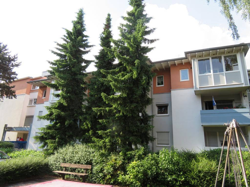 Wohnung zur Miete 400 € 1 Zimmer 43,2 m²<br/>Wohnfläche EG<br/>Geschoss ab sofort<br/>Verfügbarkeit Mauerfeldstr. 12 - 14 Weißkirchen Oberursel/Ts. 61440