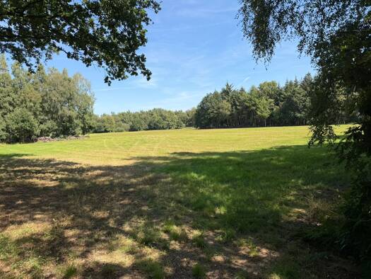 Land-/Forstwirtschaft zur Miete 30.000 m² Grundstück Jeddeloh I Edewecht 26188