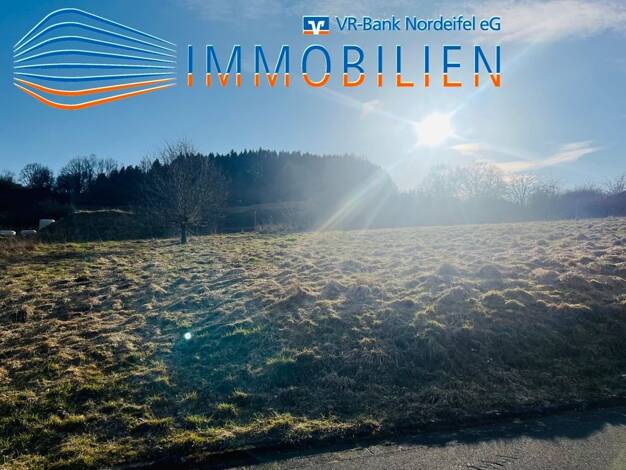 Grundstück zum Kauf 50.000 € 546 m² Grundstück Hellenthal 53940