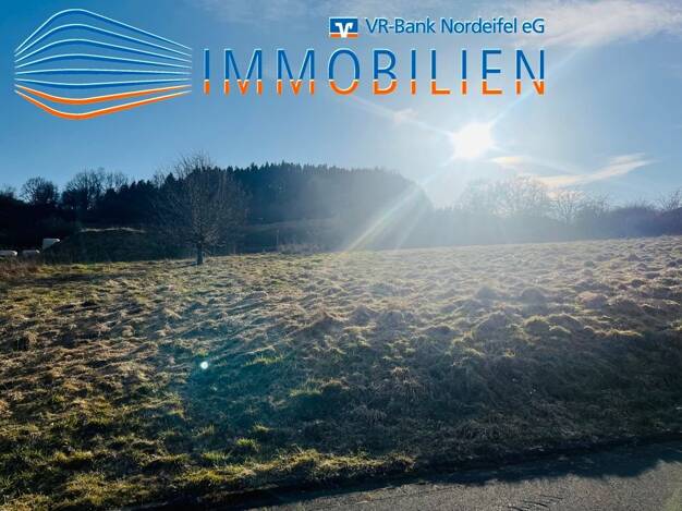 Grundstück zum Kauf 50.000 € 546 m² Grundstück Hellenthal Hellenthal 53940