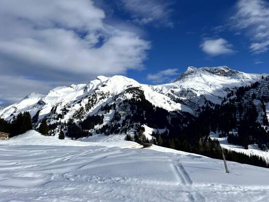 Grundstück zum Kauf 625 m² Grundstück Lech 6764