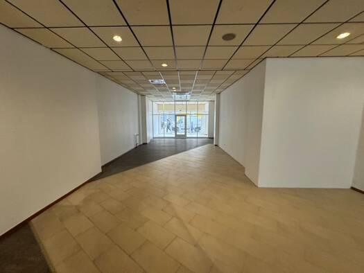 Laden zur Miete 300 m² Verkaufsfläche Ludwigstraße 49 Mitte Ludwigshafen am Rhein 67059