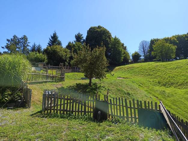 Haus zum Kauf 99.000 € 6 Zimmer 200 m² 4.093 m² Grundstück Ottendorf Sebnitz 01855