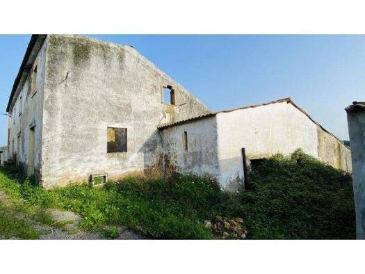 Haus zum Kauf 74.352 € 4 Zimmer 120 m² 3.000 m² Grundstück São Pedro de Tomar