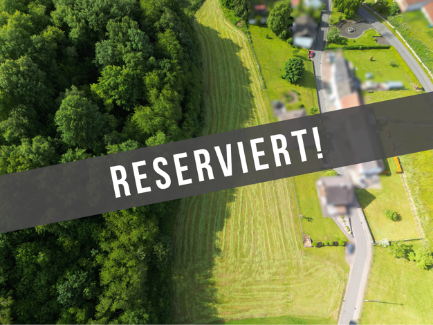 Grundstück zum Kauf 75.000 € 6.859 m² Grundstück Burbach 54597