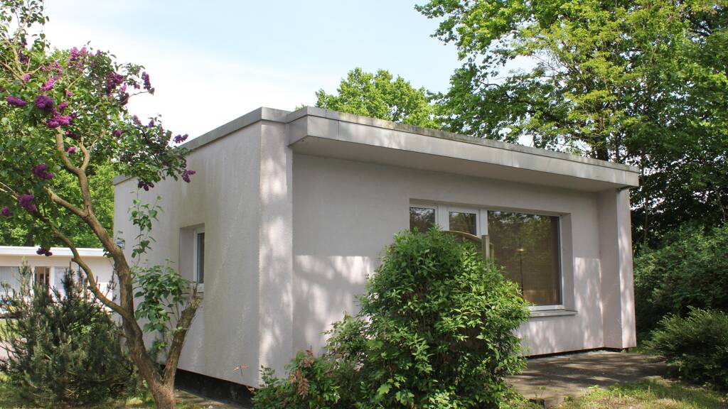 Wohnung zur Miete 291 € 2 Zimmer 44,1 m² EG frei ab sofort Nelkenweg 44 Zeven 27404