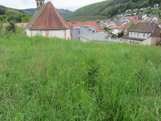 Grundstück zum Kauf 82.560 € 688 m² Grundstück Neckargerach 69437