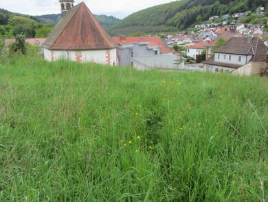 Grundstück zum Kauf 82.560 € 688 m² Grundstück Neckargerach Neckargerach 69437