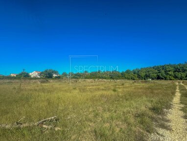 Land-/Forstwirtschaft zum Kauf 75.000 € Novigrad center