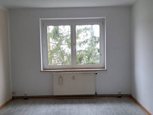 Wohnung zum Kauf 35.000 € 3 Zimmer 59,2 m² 2. Geschoss frei ab sofort Seifhennersdorf 02782