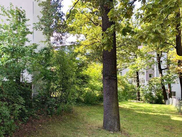 Wohnung zur Miete 580 € 2 Zimmer 55,4 m² 4. Geschoss frei ab 01.09.2025 Gibitzenhof Nürnberg 90459