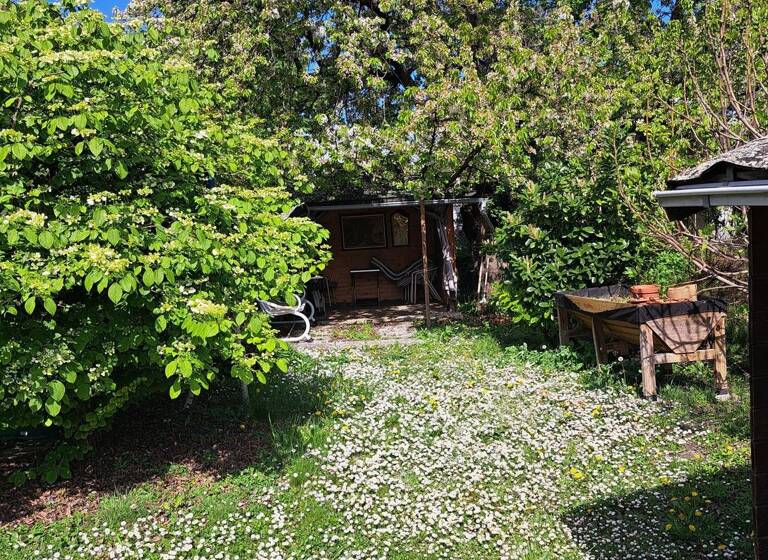 Haus 142 m² zum Kauf Friesenheim / Stadtbezirk 151,Ludwigshafen am