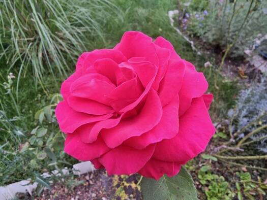 Einfamilienhaus zum Kauf 359.000 € 8 Zimmer 140 m² 600 m² Grundstück frei ab sofort Neresheim 73450