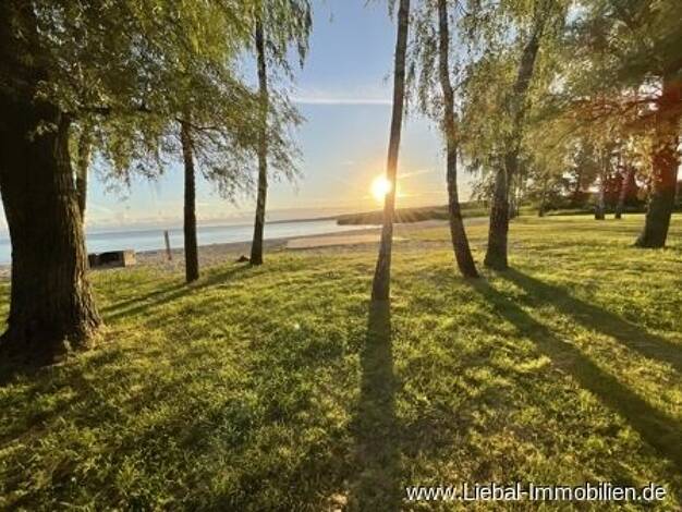 Einfamilienhaus zum Kauf 99.900 € 6 Zimmer 160 m² 2.500 m² Grundstück Luckow Luckow 17375