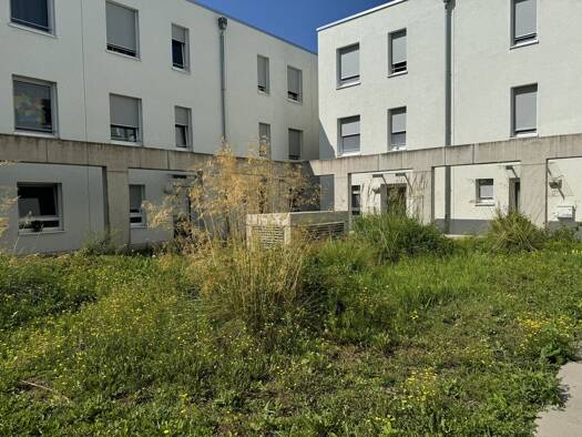 Doppelhaushälfte zur Miete 1.950 € 4 Zimmer 115,7 m² 113,5 m² Grundstück frei ab 01.10.2026 Hechtsheim Mainz 55129