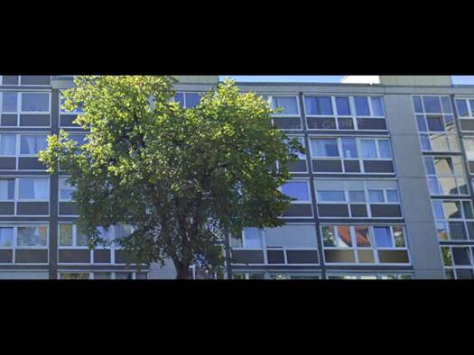 Loft zur Miete 415 € 1 Zimmer 27 m² frei ab sofort Schleißheimer Straße 15 Garching Garching bei München 85748