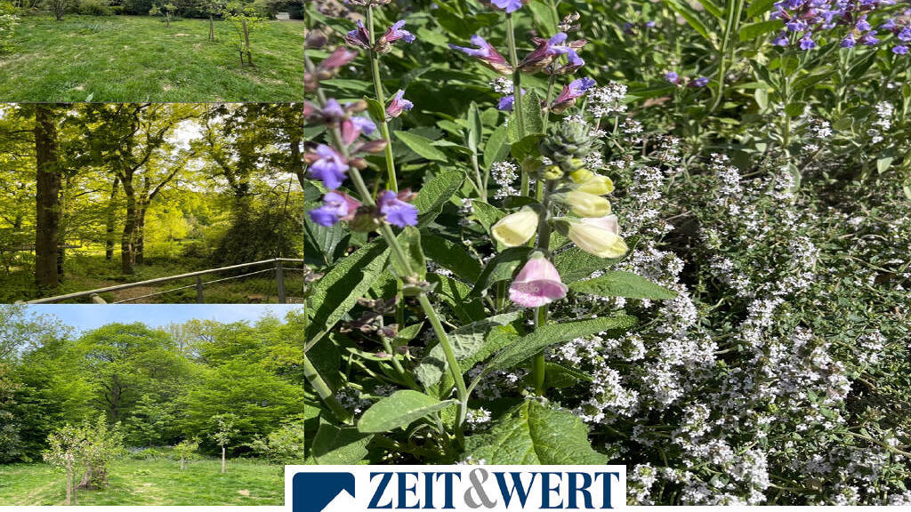 Freizeitgrundstück zum Kauf 19.900 € 2.850 m² Grundstück Kolverath 56767