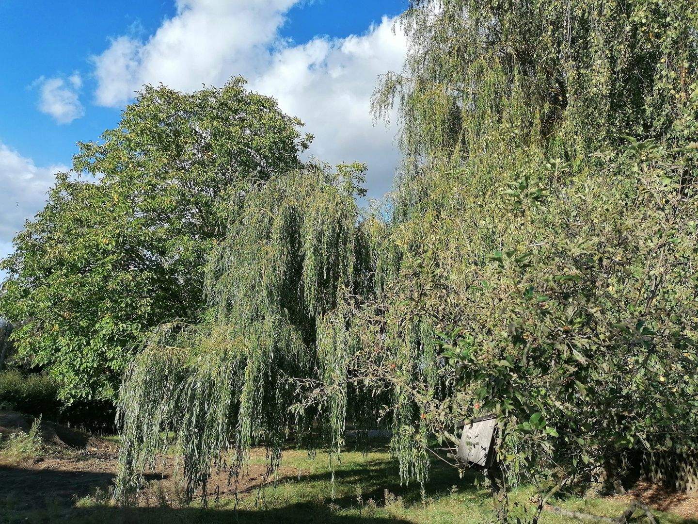 Property thumbnail 4