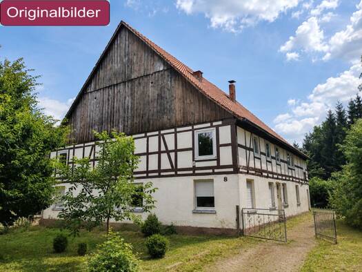 Mehrfamilienhaus zum Kauf provisionsfrei 54.600 € 10 Zimmer 350 m² 1.437 m² Grundstück Große Straße 8 Reelsen Bad Driburg 33014