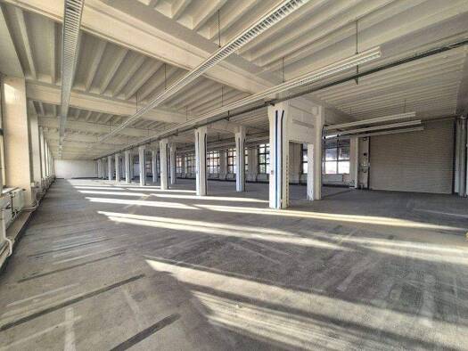 Lagerhalle zur Miete provisionsfrei 4,50 € 800 m² Lagerfläche Mickten Dresden 01139