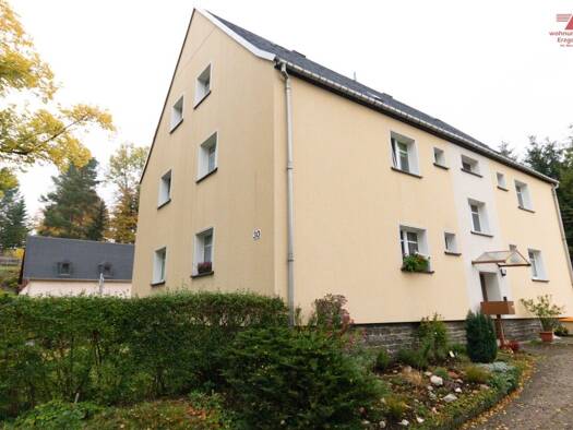 Wohnung zur Miete 315 € 3 Zimmer 52 m² 1. Geschoss frei ab sofort Buchholzer Straße 30 Schlettau Schlettau 09487