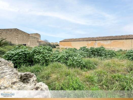 Grundstück zum Kauf 800.000 € 1.295 m² Grundstück Manacor 07500