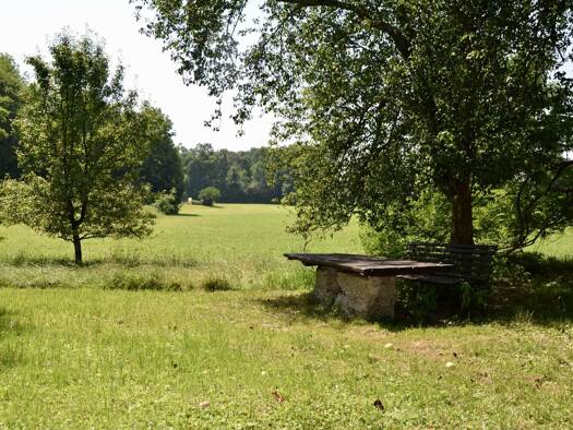 Grundstück zum Kauf 350.000 € 4.192 m² Grundstück St. Peter am Hart 4963
