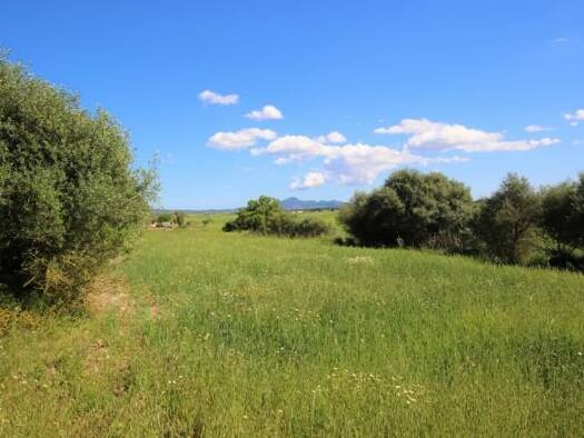 Haus zum Kauf 15.000 € 3 Zimmer 1.775 m² Grundstück Vilafranca de Bonany