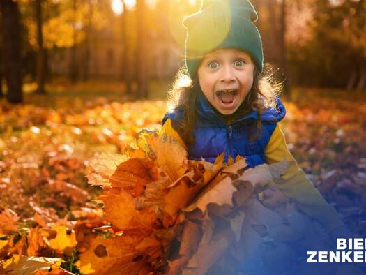 Freizeitgrundstück zum Kauf 280.000 € 450 m² Grundstück Bliensbach Wertingen 86637