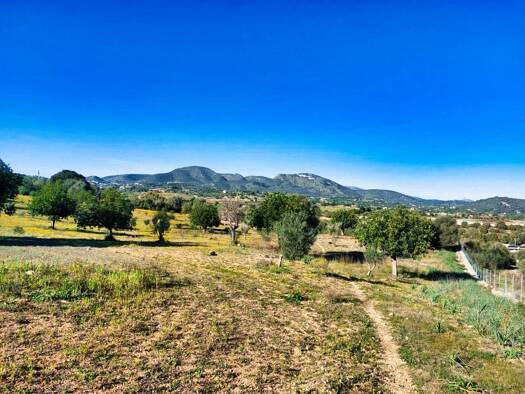 Acker-/Waldstück zum Kauf 310.000 € 5 723 Sant Llorenç des Cardassar 07530