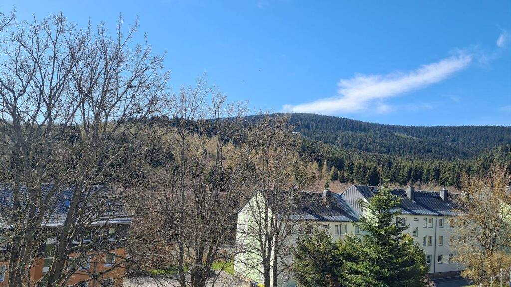 Studio zum Kauf 105.000 € 3 Zimmer 59 m² 1. Geschoss Oberwiesenthal 09484