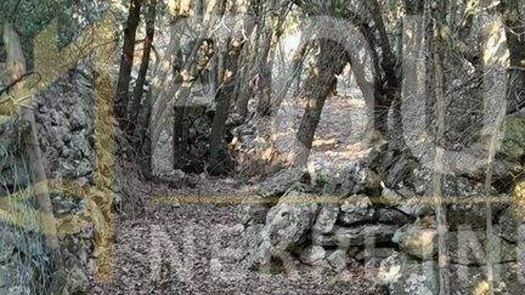 Land-/Forstwirtschaft zum Kauf 176.000 € Belej, Mali Losinj Mali Losinj