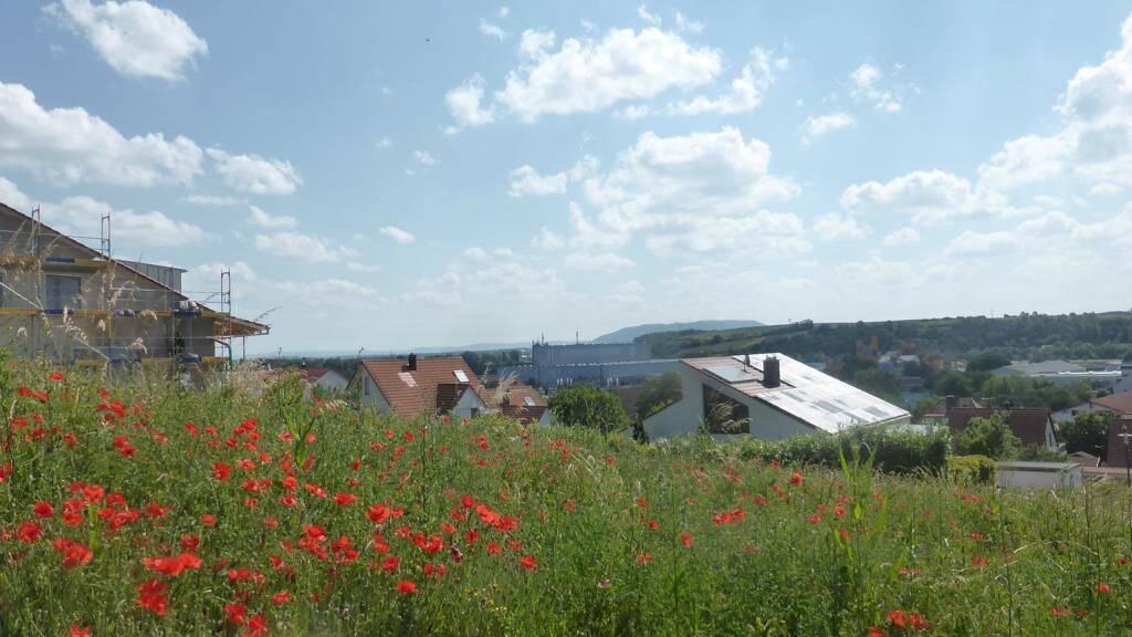 Grundstück zum Kauf 248.500 € 671 m² Grundstück Kitzingen 97318