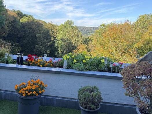 Terrassenwohnung zum Kauf 99.000 € 1 Zimmer 48 m² Nideggen Nideggen 52385