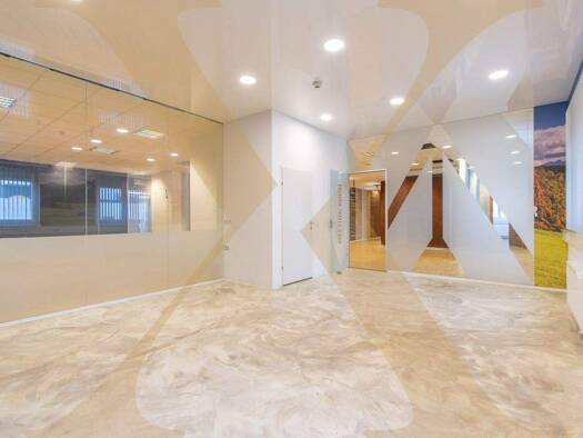 Büro zur Miete 3.615 € Ansfelden 4052