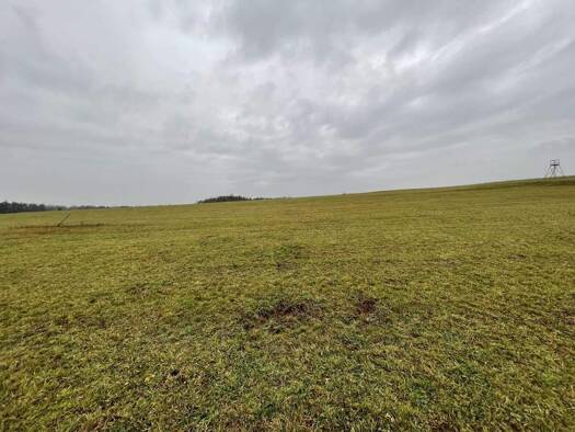 Grundstück zum Kauf 425.000 € 1.695 m² Grundstück Heroldsberg 90562