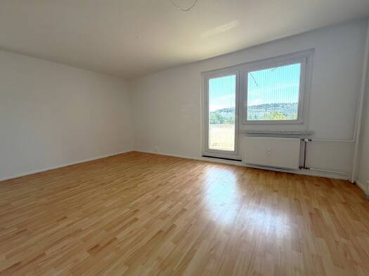 Wohnung zur Miete 220 € 1 Zimmer 34,8 m² 3. Geschoss Friesenweg 168 Chrieschwitz Plauen 08529