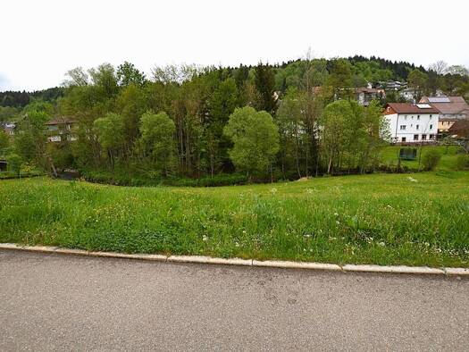 Grundstück zum Kauf 69.000 € 1.370 m² Grundstück Betzweiler Loßburg 72290