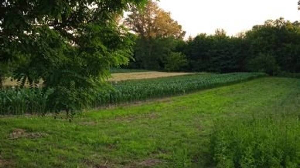 Grundstück zum Kauf 22.000 € 1.255 m² Grundstück Szölösgyörök 8692