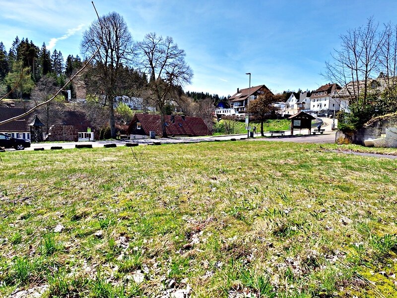 Grundstück zum Kauf 130.000 € 1.681 m²<br/>Grundstück Kniebis Freudenstadt 72250